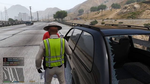 LSPDFR | 2019 SAHP CHARGER ELS 2019 Charger CHP Pack 1.1 смотреть онлайн