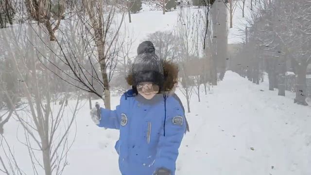 ЭТО НЕВЕРОЯТНО! Мы заснули осенью, а проснулись зимой. Первый снег в Тамбове. смотреть онлайн