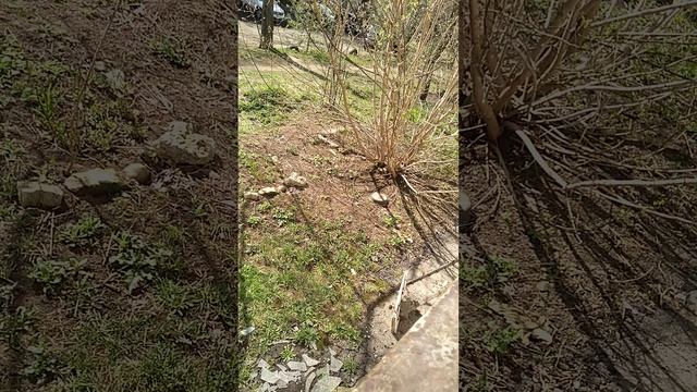 ЖАРА +20Г. А ДОМА ТОПЯТ КАК В ПЕЧКЕ смотреть онлайн