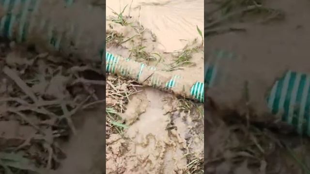 Определяем качество воды по песку смотреть онлайн