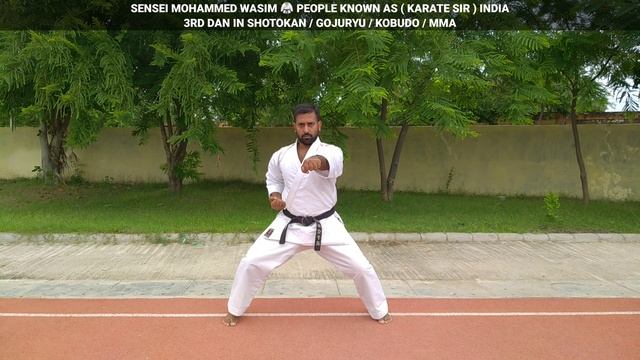 BASIC KARATE PUNCHES FOR BEGINNERS CHOKU ZUKI, NIHON ZUKI, SANBON ZUKI смотреть онлайн