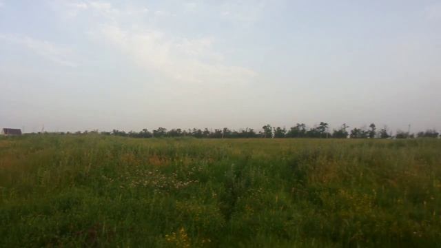 Фронт на альфардах смотреть онлайн