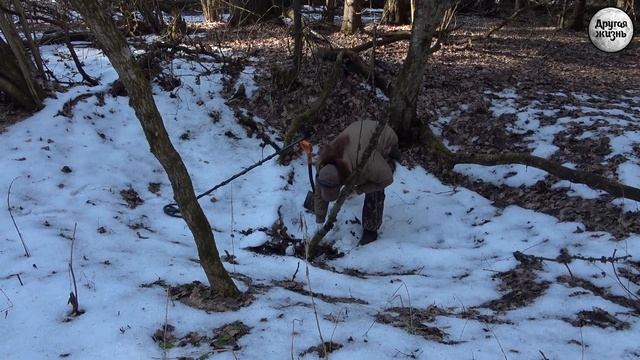 День дополнительный в году! смотреть онлайн
