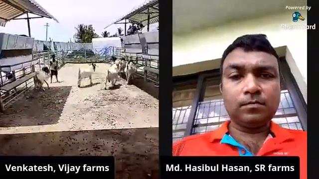 Goat farm training and farm management part 1 смотреть онлайн