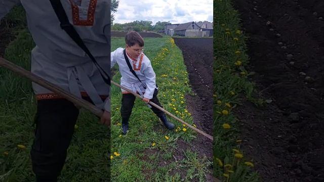 Сажаем картошку под мотоблок НЕВА мб 23 8.05.24 смотреть онлайн