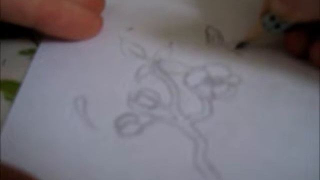 Drawing with Nyan cake 3: Butterflys and cherry blossom смотреть онлайн