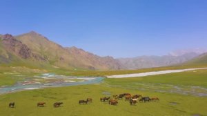 AY YOLA - Homay Необычная Башкирская песня