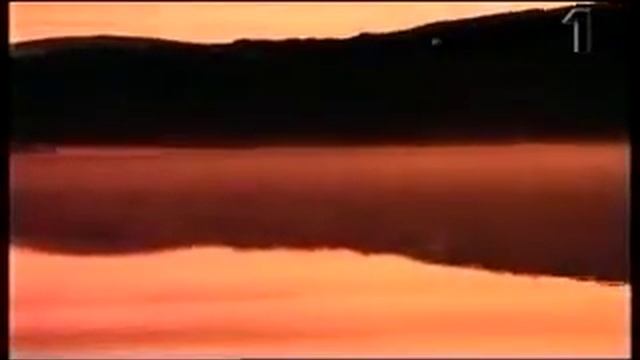 Rackelhane Converted смотреть онлайн