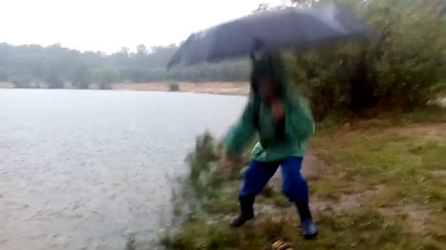 Зарыбливание водоема. Мидии. смотреть онлайн