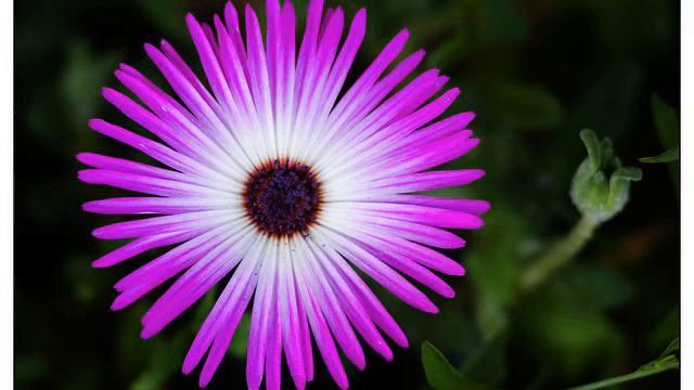 Слушать самую красивую песню и фото онлайн смотреть онлайн