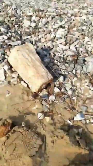 "Жигулевское море" смотреть онлайн