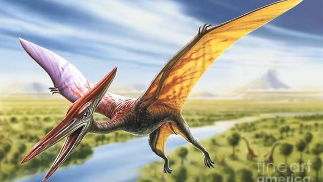 Pterodactyl Sound Effects 🦖 🔊 смотреть онлайн