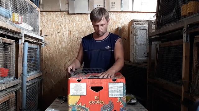 БЫСТРО И ПРОСТО.Как сделать переноску для кроликов. смотреть онлайн