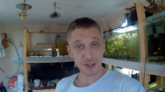 УТРО НА РАЗВОДНЕ!!! смотреть онлайн