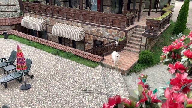 ЖЕНСКО ПАРТИ НА ВИЛА смотреть онлайн