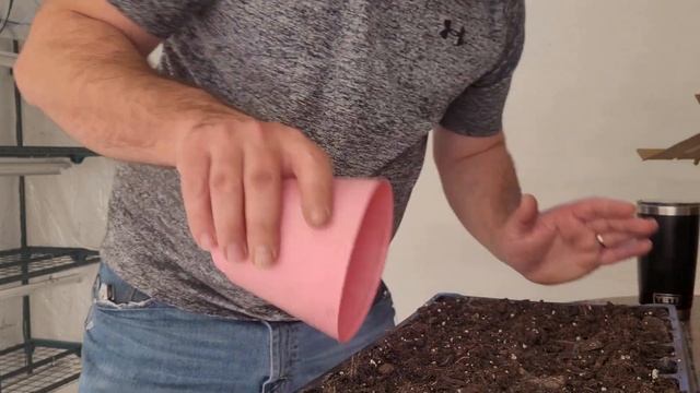 Why Starting Seeds LATE is NOT such a BAD Idea! смотреть онлайн