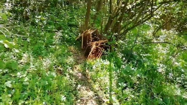 Напевно кину пчеловодство. смотреть онлайн