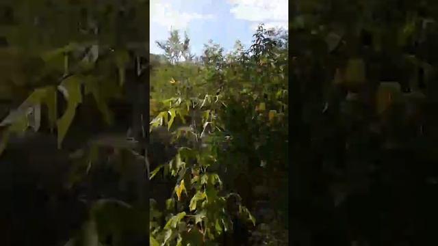 Города администрация не работает, за что только люди платить. Надо что-бы прокуратура за смотреть онлайн