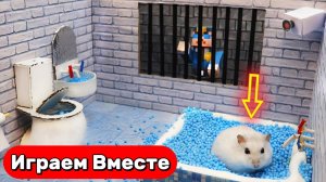 Лабиринт для Хомяка 🐹 Умный Хомяк сбегает из МАЙНКРАФТ тюрьмы с ЛОВУШКАМИ ⛏️