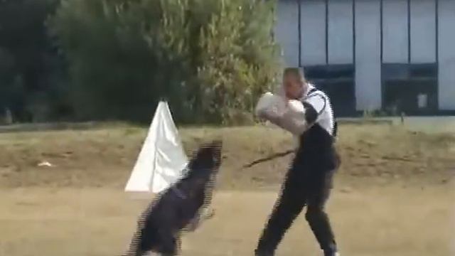 Kely Černý Obelisk- Zbraslav