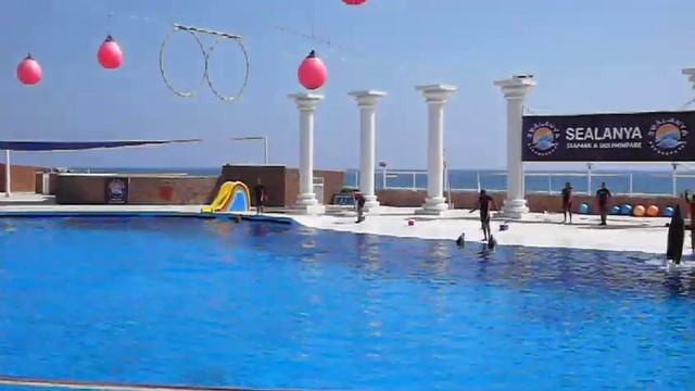 Turkey 2009 Дельфин танцует смотреть онлайн