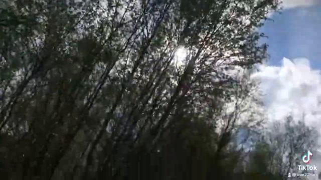 Гоним дурака 🤪 смотреть онлайн