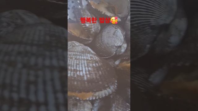 #나영, #99881234, #짜글이 ,#찌개, #닭볶음탕,#피조개, #행복한 밥상, смотреть онлайн