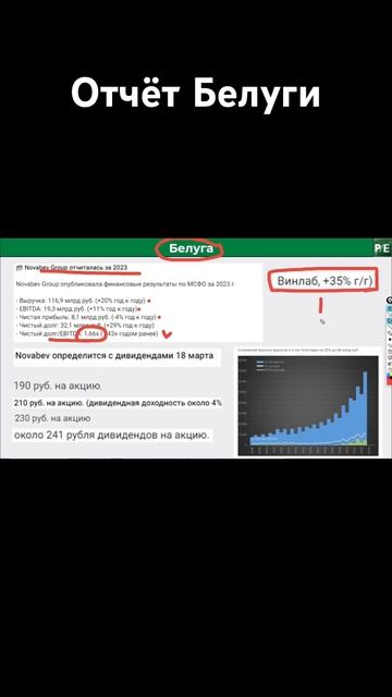 Финансовый отчёт компании Белуга @put_investor