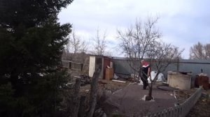 ДАЧНЫЙ ВЛОГ_ПЕРВЫЕ ЭМОЦИИ ОТ ДАЧИ_МЫ БОЯЛИСЬ УВИДЕТЬ СТРАШНОЕ_САНЮ ОТПУСТИЛО НАКОНЕЦ_ЗАЙЦЫ НАЕЛИСЬ