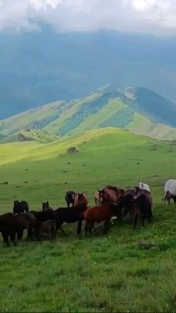 И никогда не говори (если бы)! смотреть онлайн