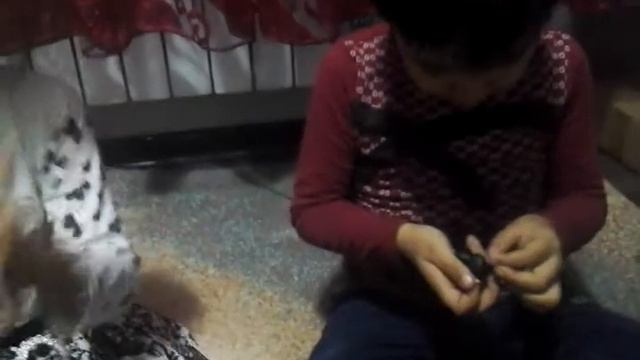 PlayDo пластилины