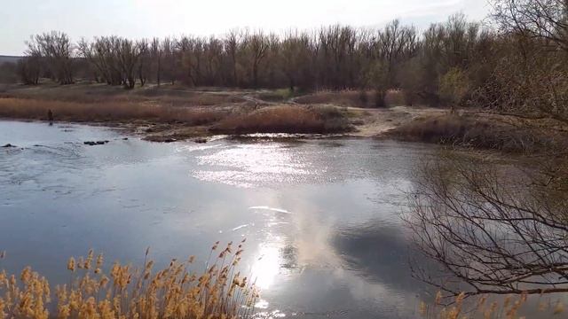 р. Чир апрель 2016г.