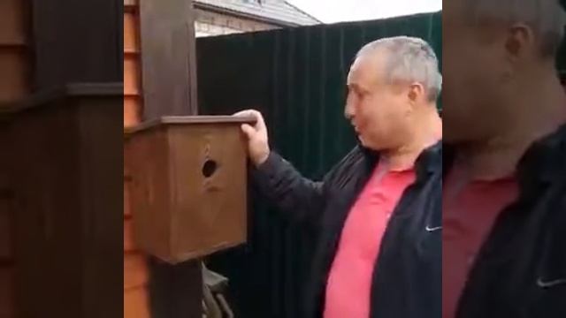 Приколы про животных,людей и не только. Юмор смотреть онлайн