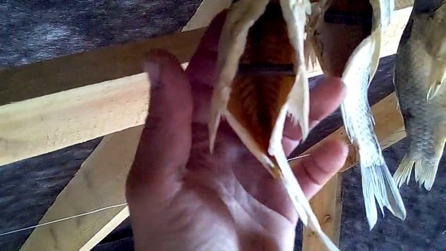 Вяленая рыбка