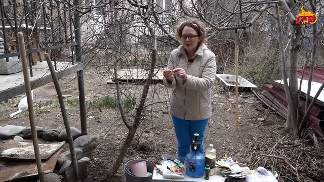 «Дом. Сад. Огород». Авторская программа Наталии Джиоевой. (Черешня)16.03.2020. смотреть онлайн