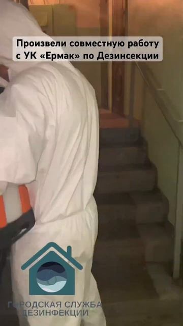 Дезинсекция от тараканов в жилых домах.#сэс #нижнийтагил #уничтожениенасекомых #обработкаоттаракано смотреть онлайн