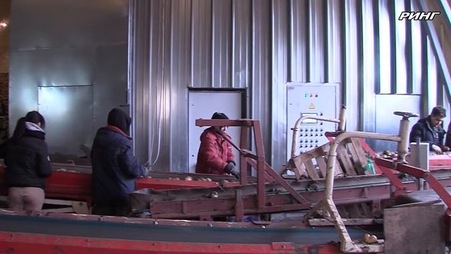 Подмосковные студенты помогают луховицкому предприятию «СПК имени Ленина» в уборке урожая смотреть онлайн