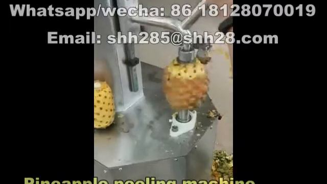 Pineapple peeling machine vertical papaya pumpkin taro cantaloupe peeler fruit skin cleaning machin смотреть онлайн