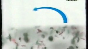 Реклама Domestos Порошок, Уничтожает все известные микробы 1999 (RU)