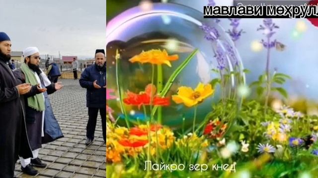 Мавлави меҳрулло тафсири сураи ҳуҷурот ояти 12 تفسير سورة الحجرات ایه ۱۲ مولوي مهرالله қисми 1 смотреть онлайн