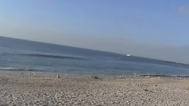 Magix Movie Sand Key смотреть онлайн