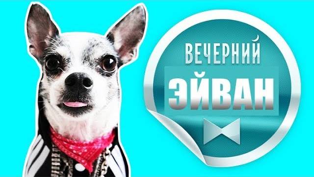 Эйван и его четвероногие друзья: раскрываем секреты! 🐶✨ смотреть онлайн