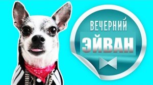 Эйван и его четвероногие друзья: раскрываем секреты! 🐶✨