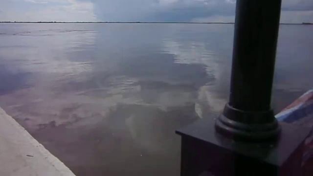 Амурские волны на набережной Хабаровска 25 августа