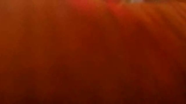 rocksterlandian brawl: arctodus vs ursa major смотреть онлайн