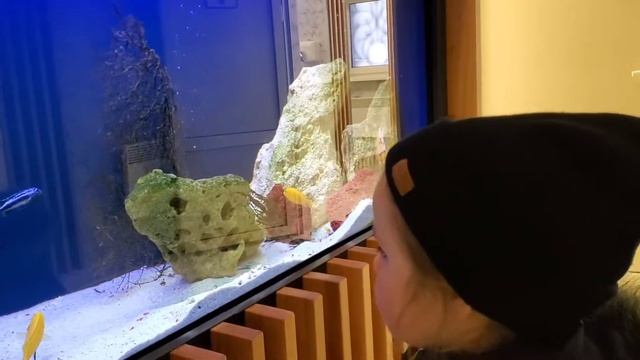 🙃 АКВАРИУМ В БЕСПЛАТНОМ ТУАЛЕТЕ ⁉️ Я такого нигде не видел 😲 | ЭТО ПАРК ГОРЬКОГО в Харькове смотреть онлайн