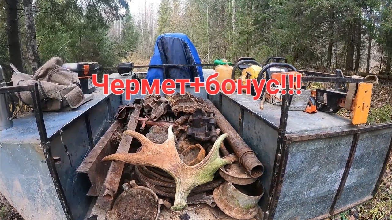 Бонус на 2500тр.Траки и куча литых плюшек. Металлокоп в старых делянках. смотреть онлайн