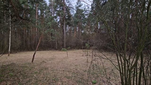 ЯСНОВИДЕНИЕ ДЛЯ РОЗАЛИИ. Инга Хосроева, Ведьмина изба. смотреть онлайн