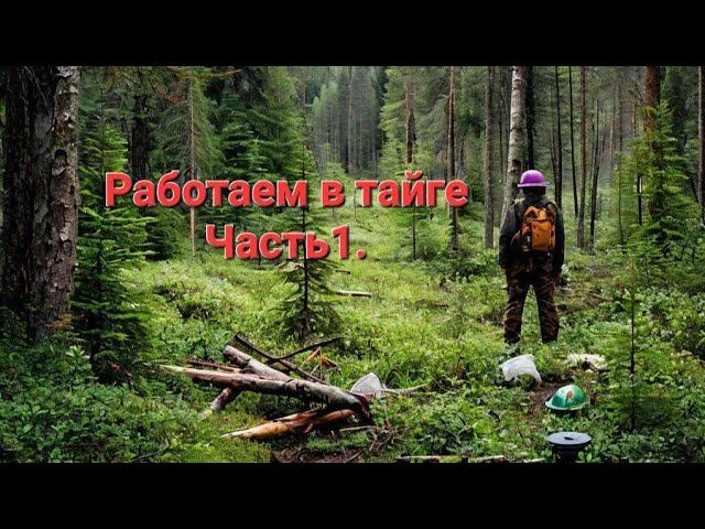 В тайгу на заработки. Живём и работаем в тайге. Часть1. смотреть онлайн