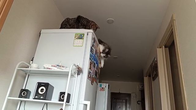 Делят Место смотреть онлайн